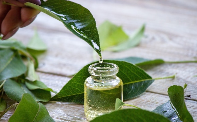 Essential oil of herbs in a small bottle, nature. Selective focus