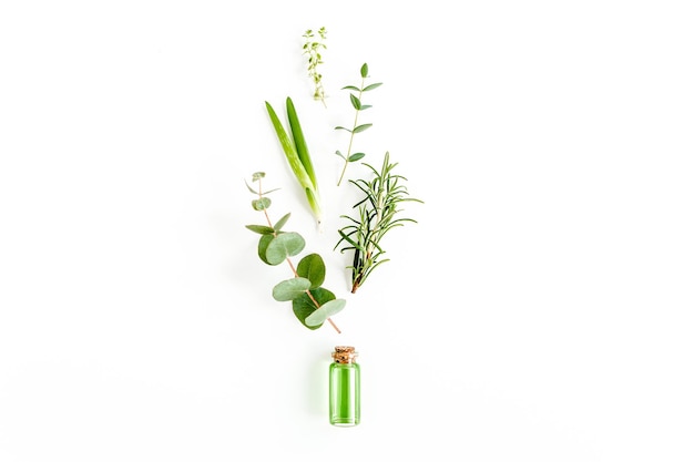 Essential oil and mix of herbs green branches leaves eucalyptus aloe Vera rosemary thyme on white background Flat lay Top view