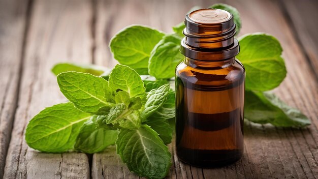 Essential oil of peppermint in bottle with fresh green peppermint