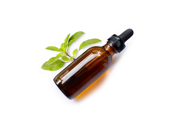 Essential oil with fresh holy basil leaves.