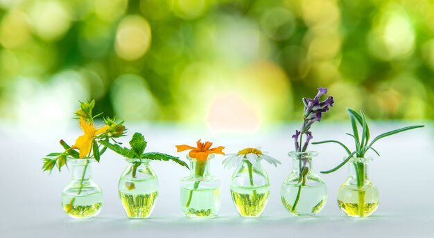 Essential oils and herbal extracts in small bottles. Selective focus. nature.