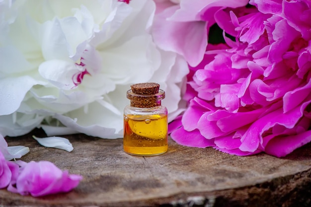 Эфирные масла и лечебные цветочные травы селективного фокуса