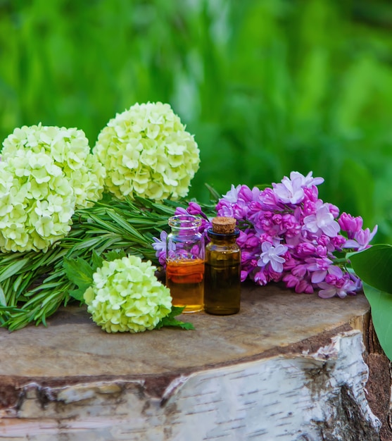 Essential oils and medicinal flowers, herbs. Nature. Selective focus