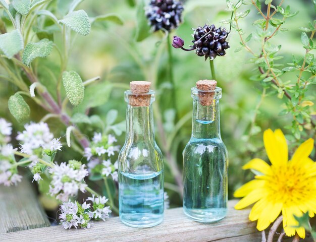 essential oils and plants