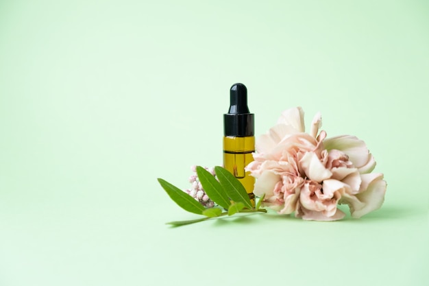 Essential oils , various bottles with carnation flower and green leaves on a green background. Aromatherapy and perfumes concept