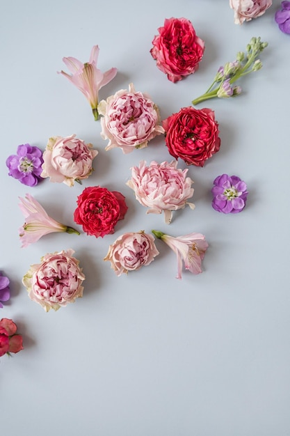 Esthetische achtergrond met kleurrijke rode en roze roze bloemen en paarse bloemen op blauwe achtergrond Mooie bloemencompositie