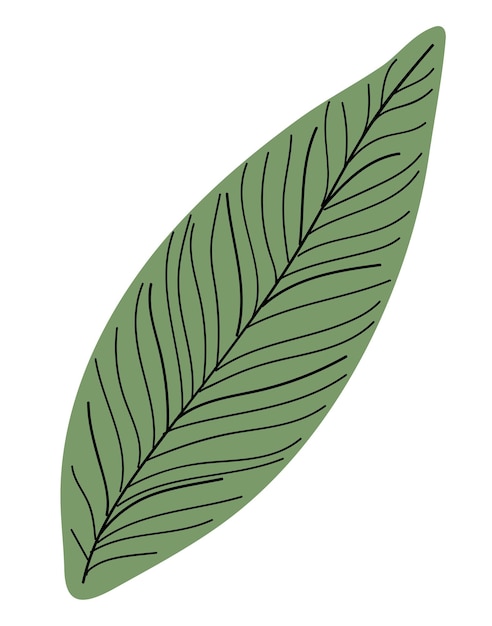 Esthetische blad png sticker botanische doodle doorzichtige achtergrond