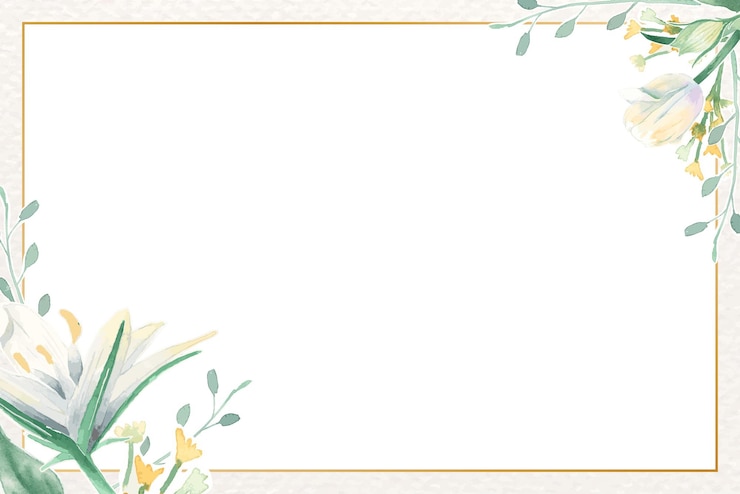 Foto esthetische bloem png frame doorzichtige achtergrond