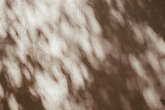 Esthetische zonlichtschaduw van boombladeren op de neutrale beige muurachtergrond