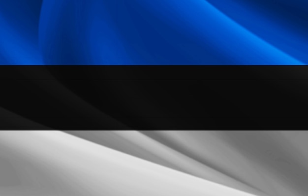 Estonia Flag folded