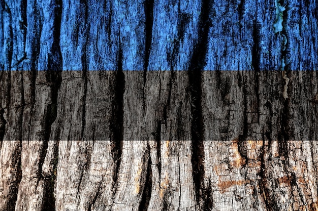 Estonia flag painted on old decrepit wooden surface