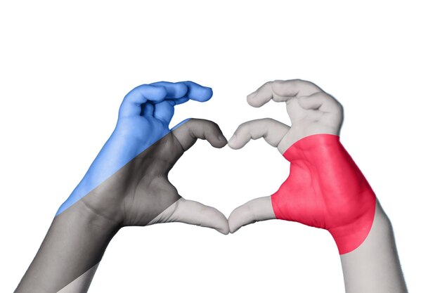 Photo estonia japan heart hand gesture making heart