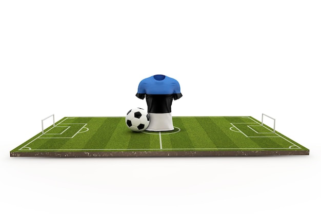 Estonia soccer shirt national flag on a football pitch 3D Rendering