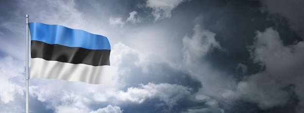 Estonian flag on a cloudy sky