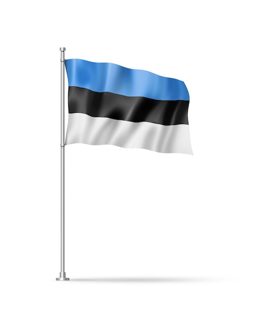 Estonian flag isolated on white