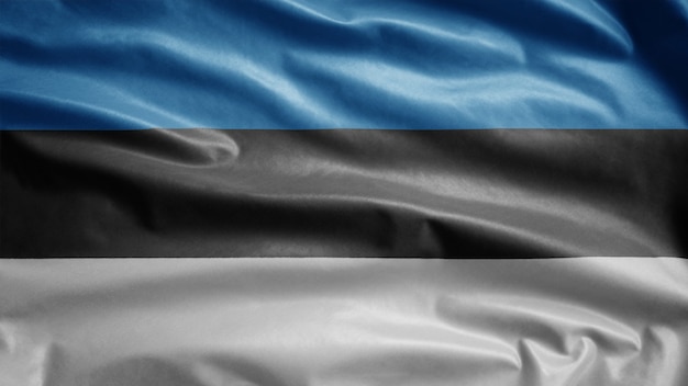 Estonian flag waving in the wind