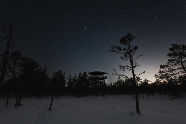 Photo estonian nature in winter night observation tower on the viru raba and starry sky