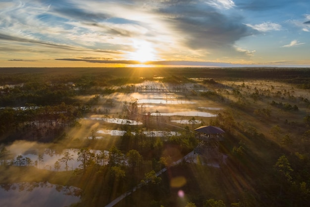 Estonian swamp Viru Viruraba at sunrise in summer High quality photo