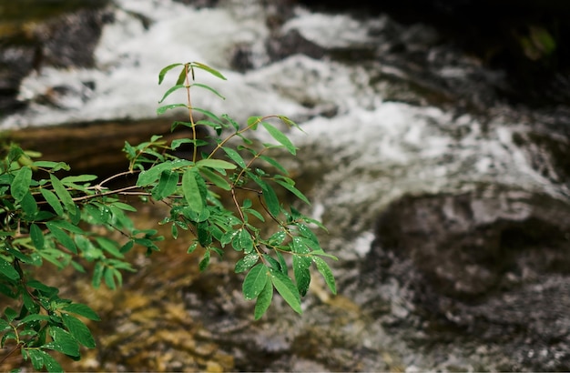 Estyube Waterfall at Lake Teletskoye in the Altai Mountains