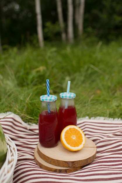 Eten en drinken op een gestreept dekentje, in de zomer op het gras