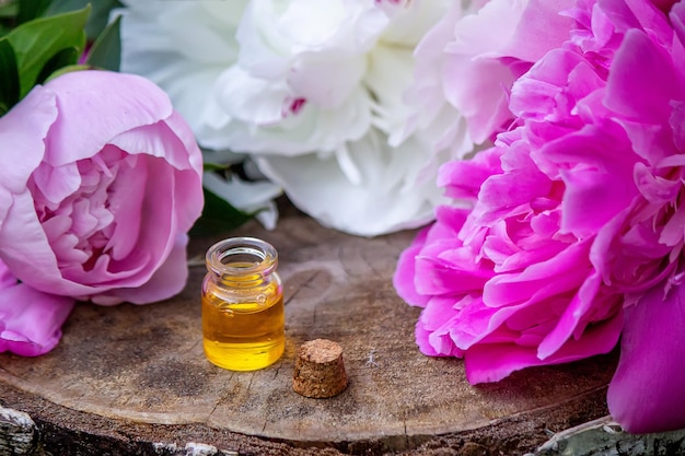 Etherische oliën en kruiden medische bloemen