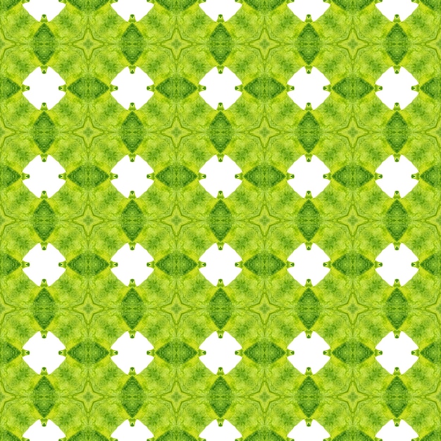 Ethnic hand painted pattern. Green alluring boho chic summer design. Watercolor summer ethnic border pattern. Textile ready Actual print, swimwear fabric, wallpaper, wrapping.