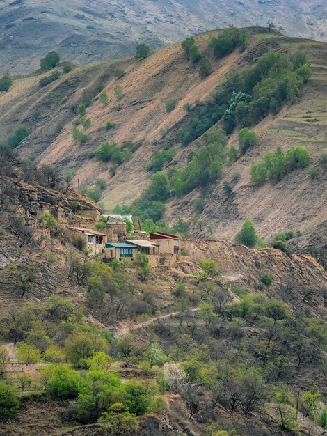Комплекс этнических домов с весенним садом на краю пропасти на вершине горы на большой высоте. Трудная жизнь в глубоком горном ущелье. Дагестан. Вертикальный вид.