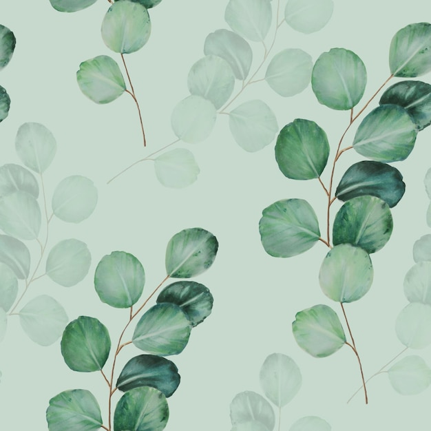 Eucalyptus aquarel naadloze patroon Hand getrokken clipart geïsoleerd op witte achtergrond Holiday