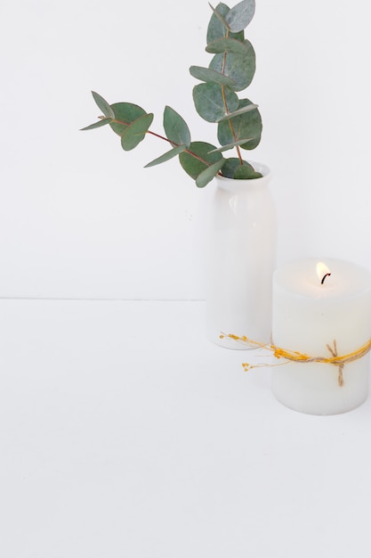 Eucalyptus branch in ceramic vase burning candle on white background