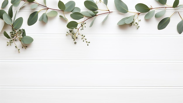 写真 木製の素朴な白い背景にユーカリの枝と葉