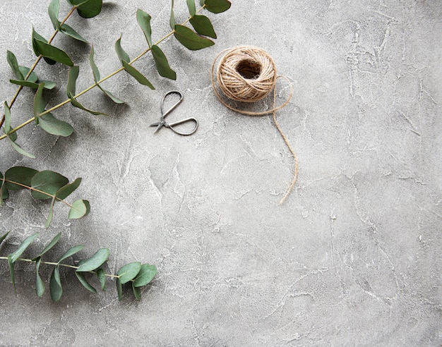 Eucalyptus branches on a concrete background