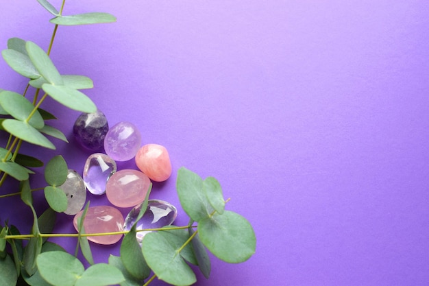 Eucalyptus branches and semi-precious stones rose quartz and amethyst lie on a purple background. Copy space.