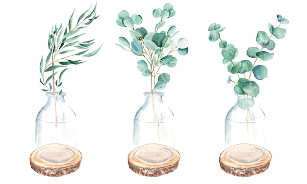 Eucalyptus branches in vases jar bottles on round wooden saw\
cuts willow silver dollar true blue