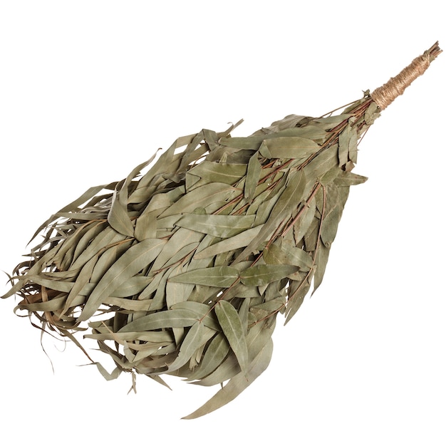 Eucalyptus broom for a bath isolated on white background