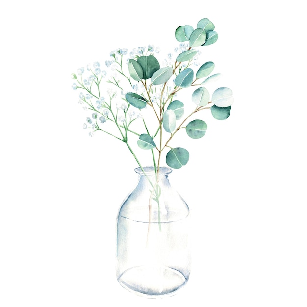 Eucalyptus en gipskruid takken in vaas fles pot aquarel hand getekend botanische illustratie