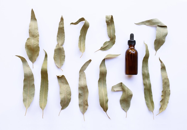 Eucalyptus essential oil bottle with dry leaves on white 