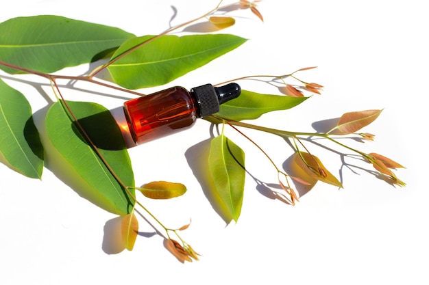 Eucalyptus essential oil bottle with leaves on white background