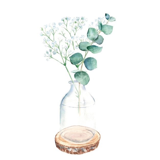 Eucalyptus and gypsophila branches in vase jar on round wooden saw cut watercolor hand drawn
