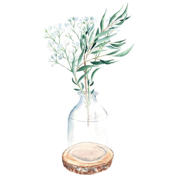 Eucalyptus and gypsophila branches in vase jar on round wooden saw cut watercolor hand drawn