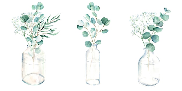 Eucalyptus and gypsophila branches in vase jar watercolor hand drawn botanical illustration isolated