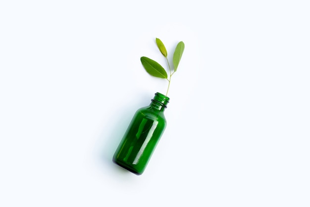 Eucalyptus leaves in green bottle on white background.