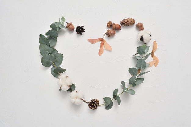 Eucalyptus leaves heart frame love on white background with cones