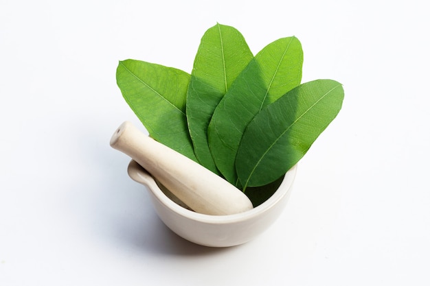 Eucalyptus leaves in mortar with pestle