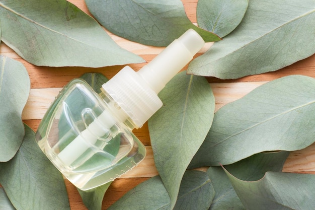 Eucalyptus leaves and oil on the table top view