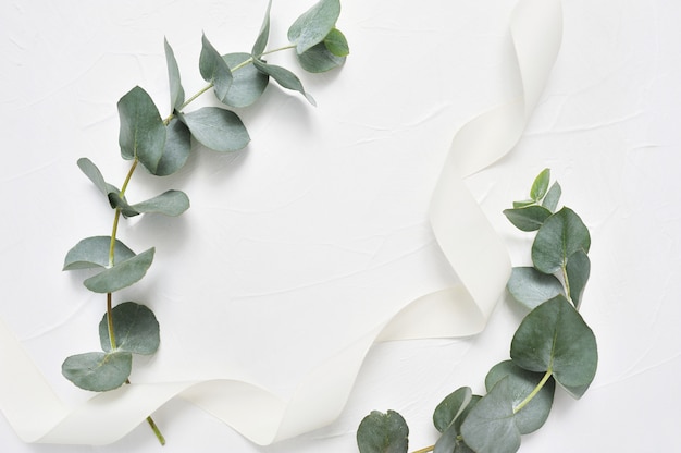 Eucalyptus leaves and ribbon frame on white . Wreath made of leaf branches