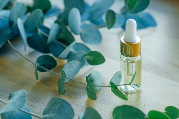 eucalyptus leaves with an oil bottle