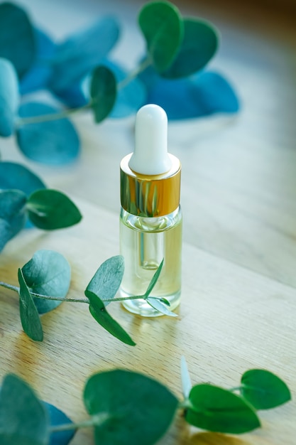 eucalyptus leaves with an oil bottle
