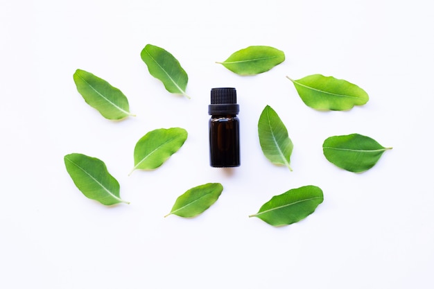 Eucalyptus oil bottle with  leaves on white 