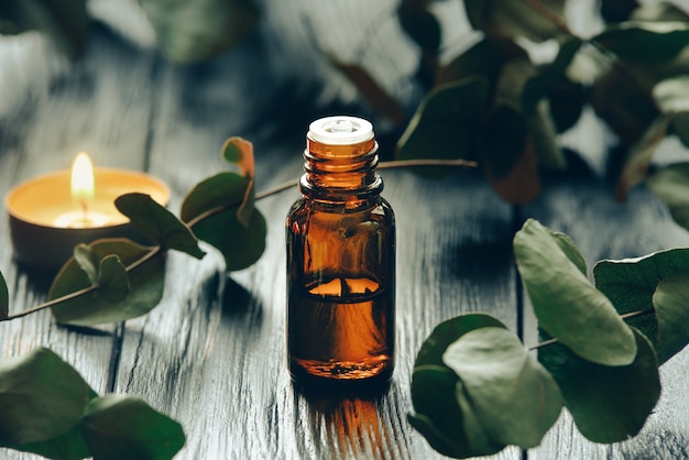 Eucalyptus oil and eucalyptus leaves