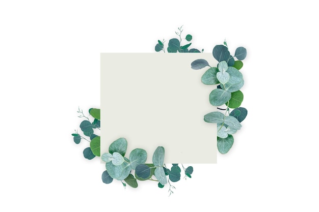 Photo eucalyptus plant banner frame